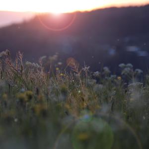 天堂tv亚洲tv日本tv欧美人tv
